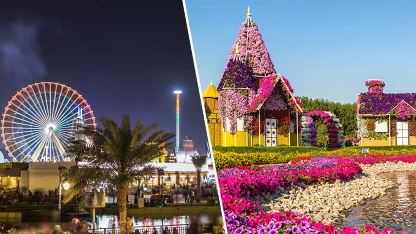 Thrilling amusement park with a towering Ferris wheel, Colorful flower house glowing under the lights