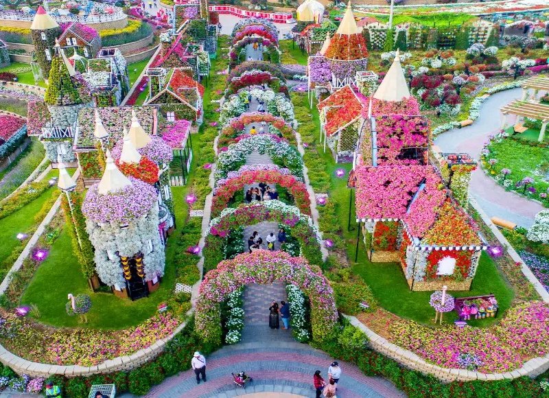 Beauty of Miracle garden